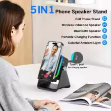 Wireless Induction Audio Speaker